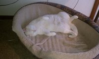 IMAG0103.jpg