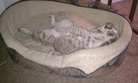 IMAG0108.jpg