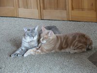 DSCN0787.jpg