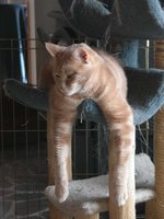 DSCN0790.jpg