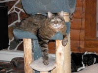 DSCN0802.jpg