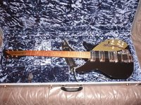Rickenbacker in its case