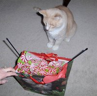 Angelo is much more calm and patient about getting his gifts.