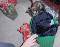 Worse than any little kid, Cheyenne couldn't wait to see what she'd gotten for Christmas!