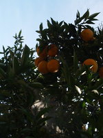 PA033193B.JPG