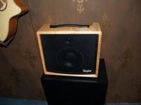I wood buy this amp, wood you?