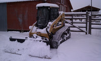 Cat267B.jpg
