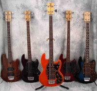 Wal Collection.jpg