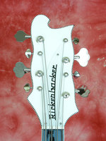 4008 Headstock 2.jpg