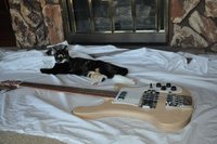DSC_0031.jpg
