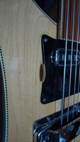 Pick on Bass 2.JPG