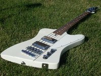 Arctic White T-Bird.jpg