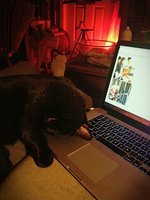 Digory passed out looking at Rickenbackers