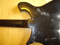 450_back.jpg