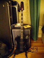Blackbird Bass 001.JPG