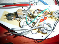 P1030998(1).JPG
