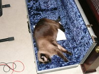 Too tired to help