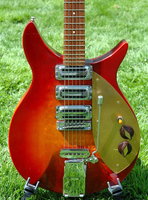 V87003(1).JPG