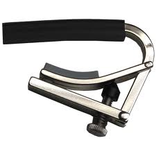 Shubb capo