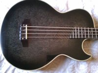Washburn Acoustic/Electric