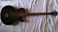 Washburn Acoustic/Electric