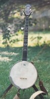 Wildwood banjo, Troubadour model