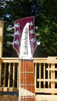 360WBCustom-C5864303.jpg