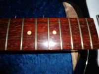 DSC00408.JPG