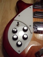 RFPickguard.jpg