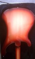 4003 baclk of body.jpg