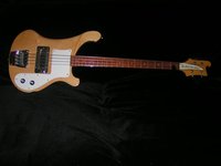 BASS.jpg