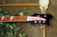Bass5-0026.JPG