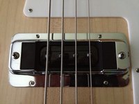 new bezel.JPG