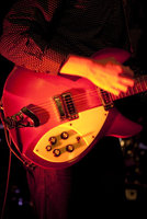 Kieren's Rickenbacker 330.jpg