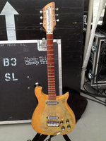 Robin Zander Guitar.jpg
