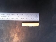 photo 1.JPG