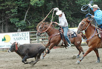 Roping.jpg