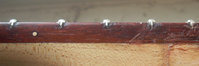 DSCN5571Med.jpg