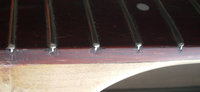 DSCN5587Med.jpg