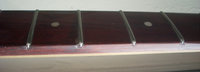 DSCN5583Med.jpg