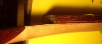 DSCN5593Med.jpg