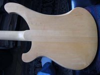 IMG_1606a.jpg