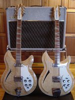 381s with Fawn AC 30 web size.JPG