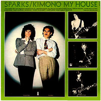 sparks-kimono-back.jpg