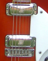 Modded SD Firebird PU