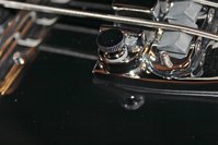 IMG_1355.jpg