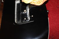 IMG_1363.jpg