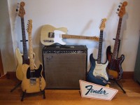 Fender Collection.jpg