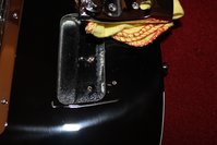 IMG_1364.jpg