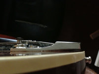 IMG_2694.jpg